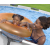 Bestway 56416 BASEN STELAŻOWY STEEL PRO MAX Z POMPĄ FILTRACYJNĄ 3.66m x 0.76m
