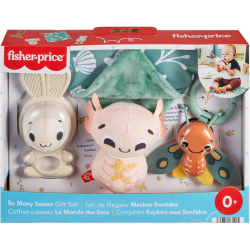 Fisher Price HRB17 Zestaw Sensoryczny