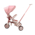 Milly Mally Rowerek Trójkołowy Zippy Pink