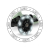 Qplay Hulajnoga Sema Pro 3w1 Green