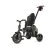Qplay Rowerek Trójkołowy Comfo Max Olive Green