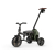 Qplay Rowerek Trójkołowy Comfo Max Olive Green
