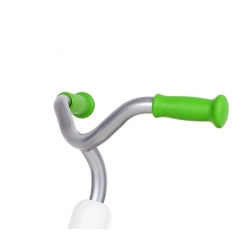 Qplay Rowerek Trójkołowy Elite Plus Green