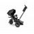 Qplay Rowerek Trójkołowy Premium Black