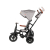 Qplay Rowerek Trójkołowy Rito Deluxe Rubber Grey