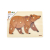 Viga 44606 Puzzle na podkładce z uchwytami - Miś