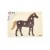 Viga 44607 Puzzle na podkładce z uchwytami - Koń