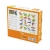 Viga 50289 Magnesy dinozaury